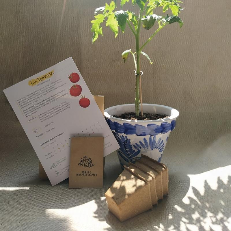 kit de jardinage bio spécial tomate - Jardin Eco-responsable - ETHIQ