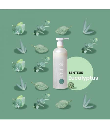 Pack Nettoyant Sols senteur Eucalyptus - Produit d'entretien 100% naturel