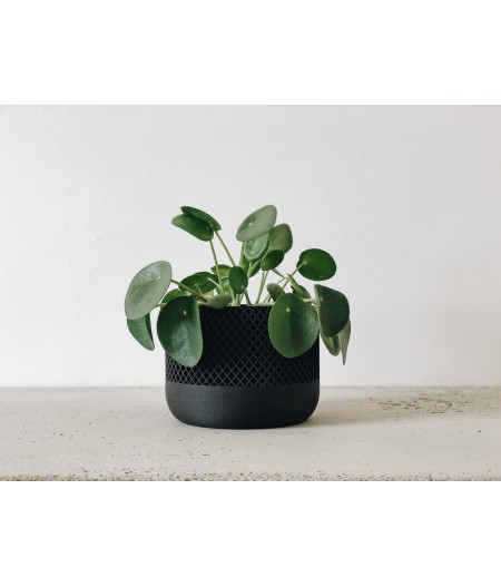 Cache pot noir design pour plantes vertes