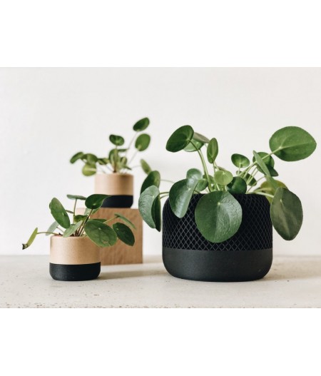 Ensemble de pot de décoration plante d'intérieur