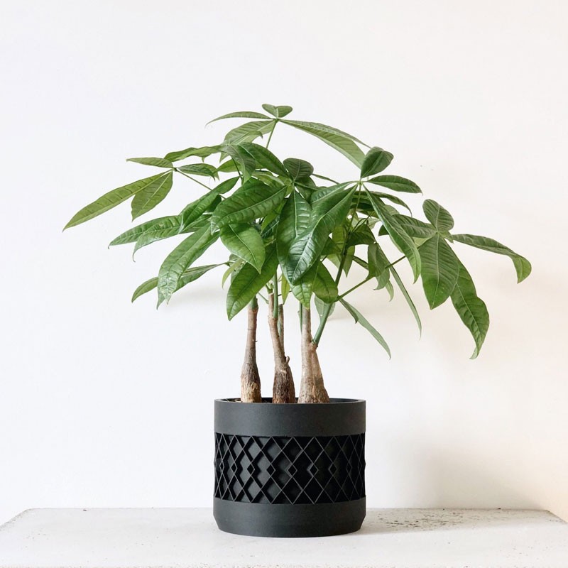Pot pour plantes Aztek Noir - Décoration et objets durables - ETHIQ