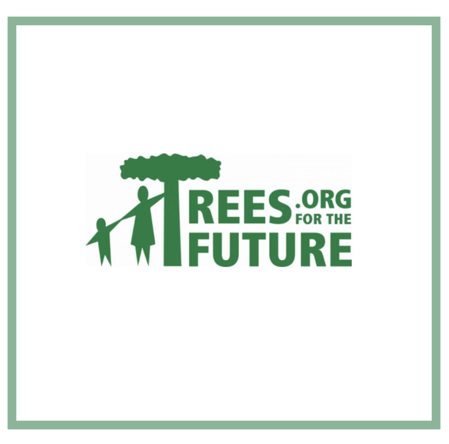 Partenariat avec Tree for the futur