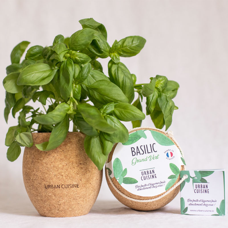 Pot de plantation basilic made in France - Urban cuisine